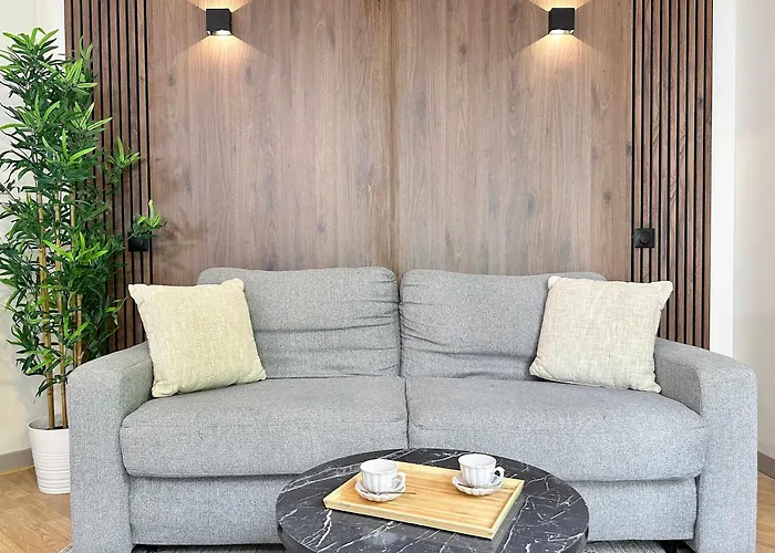 Studio With Terrace In Porte De Versailles